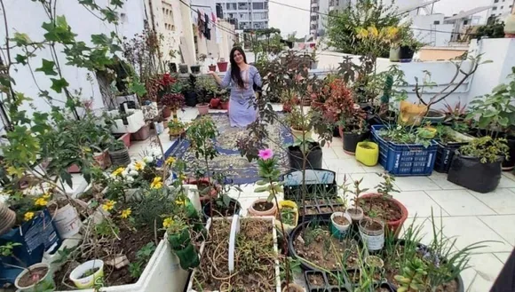 Minal Pandya Gardening
