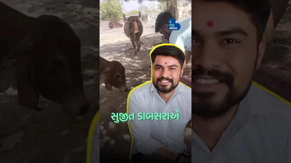 પક્ષીઓને લુપ્ત થતા જોઈ કર્યો એક લાખ ચકલી ઘર બનાવવાનો ટાર્ગેટ | Sujeet Dabasara| Amreli| #BirdLover