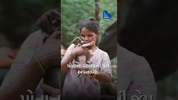 ઝુંપડીમાં રહીને, ભીખ માંગીને, સુધારી રહી છે અબોલોનું જીવન | #AnimalLove #MotherOf80dogs #Inspiring