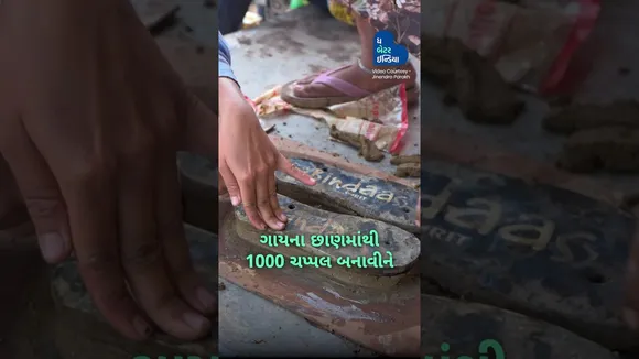 રાયપુરના રિતેશ અગ્રવાલ ગાયના છાણથી કરી રહ્યા છે કમાલ!  Cow Dung Slipper | Raipur | Cow Dung Products
