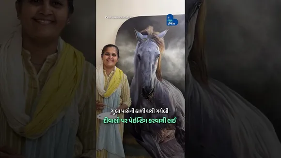 ઘરની દીવાલો પર પેઇન્ટિંગ કરવાથી લઈ World Record બનાવવા સુધી | Nayana Katrodiya| Female Painter
