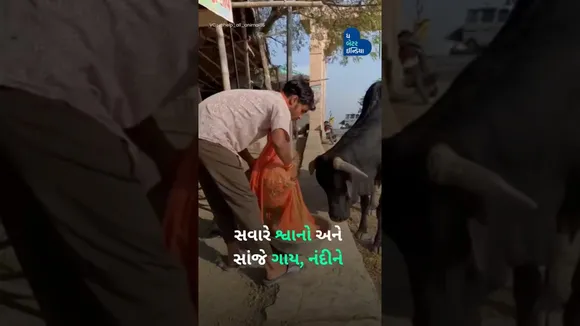 માત્ર 10 સુધી અભ્યાસ કરેલા કપિલ કુમારે પોતાનું જીવન અબોલ જીવો માટે સમર્પિત કરી દીધું.  Dog lover