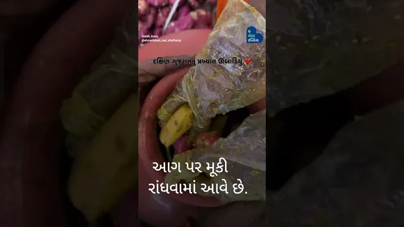 શાકભાજીનો સમાવેશ થાય છે. પ્રોટીનથી ભરપૂર આ વાનગી શું તમે ક્યારેય ચાખી છે દક્ષિણ ગુજરાતની આ વાનગી?
