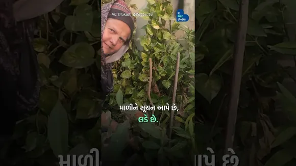 મારી મમ્મી બોલી સાંભળી નથી શકતી પણ છોડ સાથે કરી મિત્રતા| Deaf and Mute Mother | Love Plantation|