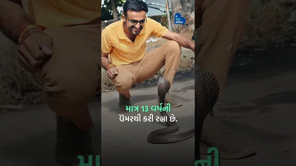 3000 થી વધુ સાપનો બચાવ કર્યો છે આ ગુજરાતીએ | Sarpmitra Pradip Bhai | Snake Rescuer| Idar| Gujarat