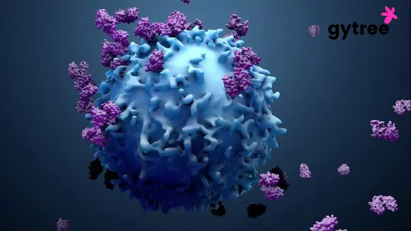 Car t cell therapy 