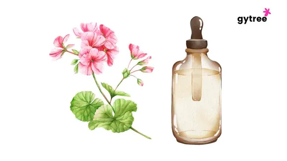 Geranium Oil: Benefits and Side effects