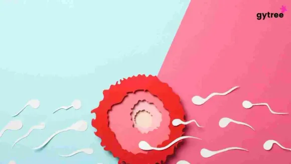 Decoding The 4 Phases of Menstrual Cycle To Make Your Life Easier
