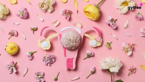 Can I get pregnant before menarche? Answering common myths