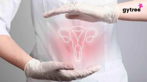5 Herbs for Vaginal Dryness