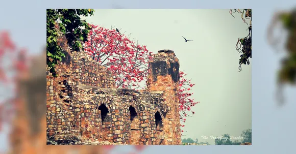 दिल्ली के फिरोज़ शाह कोटला का ये गुप्त खंडहर आज भी है लोगो की उम्मीद की वजह !
