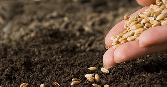 मुंबई में बना देश का पहला बीज कोष (Seed Bank ) !