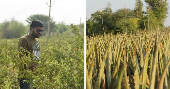 जानिये कैसे सरकारी नौकरी छोड़, ये इंजिनियर, खेती करके बना करोड़पति !