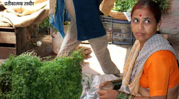 पुणे: बदलते मौसम में धनिया बना किसानों का सहारा, हफ्ते भर में कराया लाखों का मुनाफ़ा!