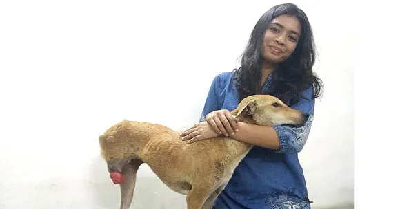 पाँच साल में 3500 घायल जानवरों को किया रेस्क्यू; 55 लावारिस कुत्तों को घर में दी शरण!