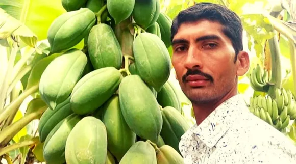 प्राकृतिक खेती से 6 महीने में हुआ 2 लाख रुपये का मुनाफ़ा, व्हाट्सअप से की मार्केटिंग!