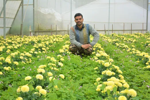 हिमाचल प्रदेश : मीडिया की नौकरी छोड़ करने लगे खेती; सालाना आय हुई 10 लाख रूपये!