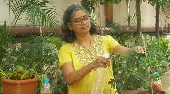 3×6 फीट बालकनी में उगाया फ़ूड फोरेस्ट,  खुद अपना खाना उगा रही हैं यह मुम्बईकर!