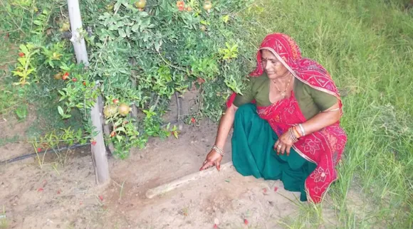 "दीमक अच्छे हैं!" महिला किसान की इस शोध ने दिलवाई अंतरराष्ट्रीय पहचान