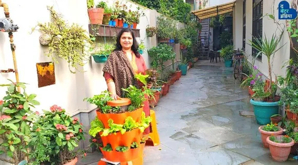 Gardening Expert