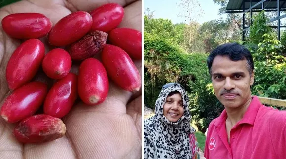 दुबई की नौकरी छोड़ लौट आए स्वदेश, अब उगाते हैं 550 प्रकार के फल!