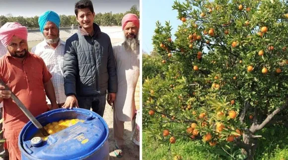 पंजाब: अधिकारी ने बदली किसानों की किस्मत, गिरे हुए फलों से सिखाया खाद और क्लीनर बनाना
