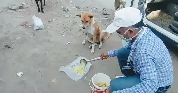 आमदनी बहुत नहीं, पर लावारिस बेज़ुबानों को 20 वर्षों से खाना खिलाते हैं सुजीत
