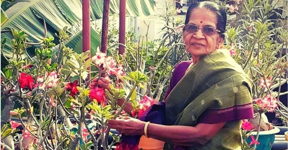 Chennai Amma Urban Gardener