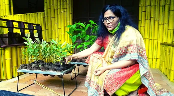 IFS अफसर की पहल, पॉलिथीन की जगह नारियल के छिलके से बने गमलों में करा रहीं हैं पौधे तैयार!