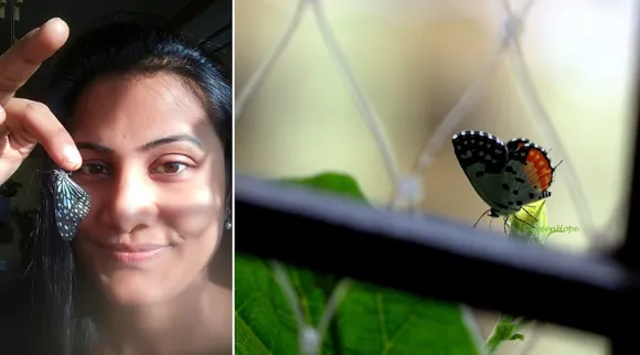 मुंबई: 13वें माले के फ्लैट की बालकनी-गार्डन में तितलियाँ पाल रही हैं प्रियंका सिंह!