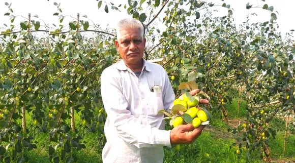 थाई एप्पल बेर की बागवानी ने किया कमाल, हर साल 45 लाख रुपये कमाता है यह किसान