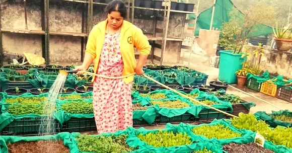 Delhi Terrace garden