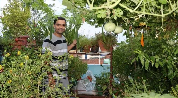 सितंबर में बोइए इन सब्ज़ियों के बीज और दिसंबर में खाइए ताज़ा सब्ज़ियाँ
