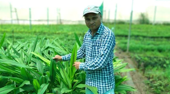 महाराष्ट्र: सफेद चंदन और काली हल्दी की सफल खेती से इस किसान से बनाई अपनी पहचान