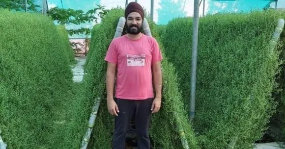 punjab farmer