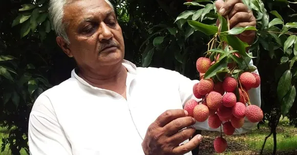 यूपी: फलों की खेती से ऐसे मालामाल हो गया यह किसान, सिर्फ लीची से सालाना कमा रहे 7.5 लाख