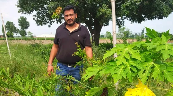 खेती का बिज़नेस मॉडल: खुद उगाकर घर-घर जैविक सब्ज़ी पहुंचाते हैं, खोला ग्रोसरी स्टोर भी