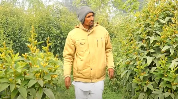 किसान का जंगल मॉडल: पौने एकड़ में लगाए 54 निम्बू, 133 अनार, 170 केले और 420 सहजन