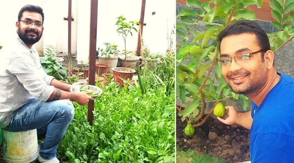 कम धूप में भी कैसे उगा सकते हैं ढेर सारी सब्जियां, जानिए गाज़ियाबाद के इन सिविल इंजीनियर से
