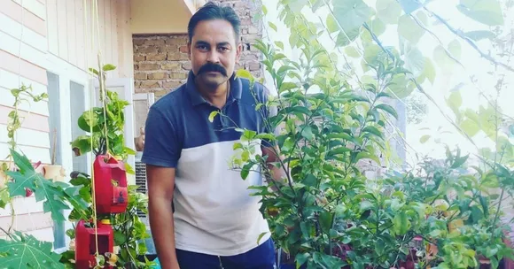 terrace gardening tips