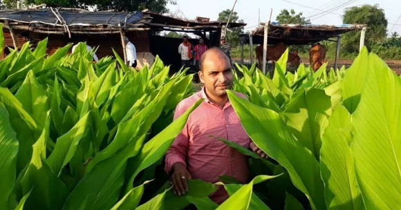 बैंक की नौकरी छोड़ बने किसान, लाखों किसानों को पहुँचा रहे लाभ