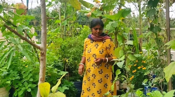बेंगलुरु: साग-सब्जियों के साथ केला, अनानास, और सीताफल जैसे पेड़ भी मिलेंगे इनकी छत पर