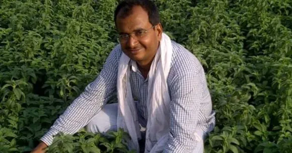 लाखों की नौकरी छोड़ बने किसान, लेमनग्रास, मशरूम, बेबी कॉर्न प्रोसेस कर बनाया अपना ब्रांड