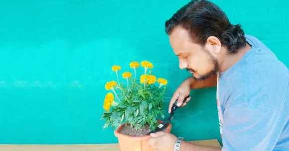 Grow Marigold