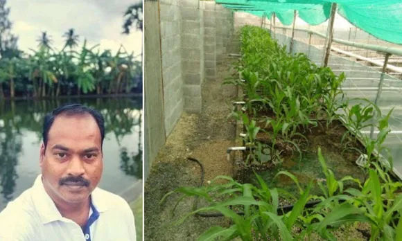 Aquaponic Farming