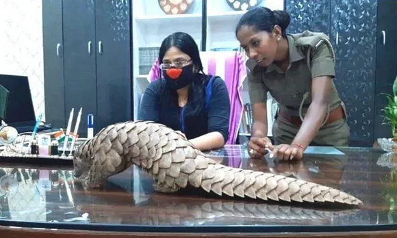 धमकियों से डरे बिना, महिला वन अधिकारी ने रोकी पैंगोलिन की तस्करी, UN से मिला सम्मान