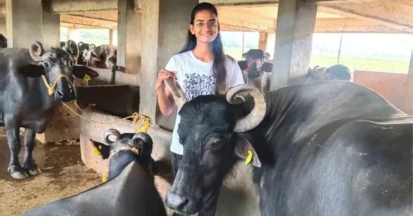 Dairy Farm