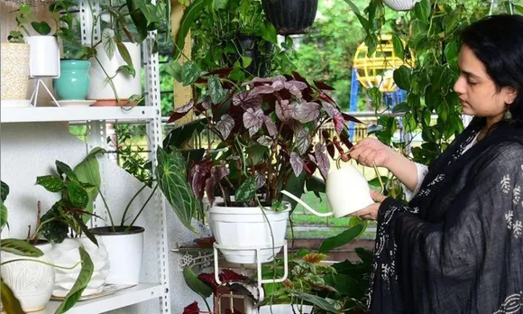 Summer Gardening Tips