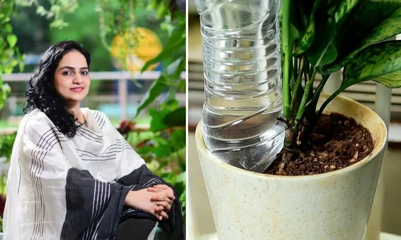 How To Water Plants