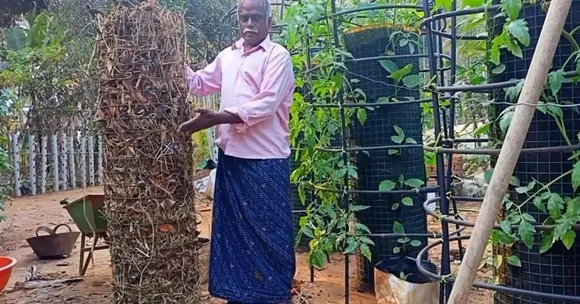 Grow Veggies With Dry Leaves